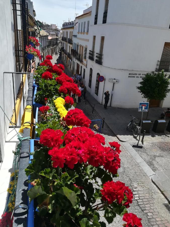 Vft Califal Lägenhet Córdoba Exteriör bild
